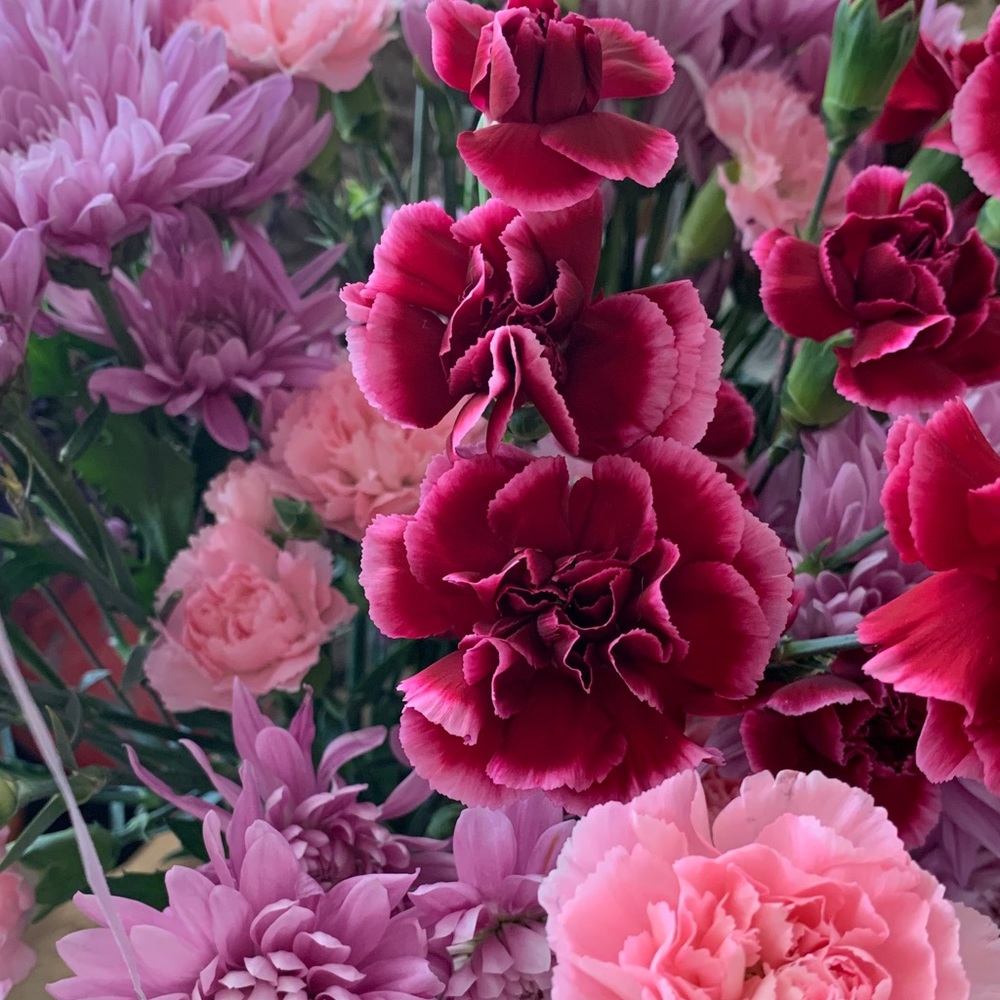 Meet your Posher, Gabrielle